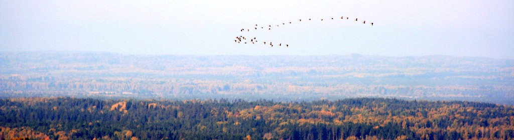 Estonia